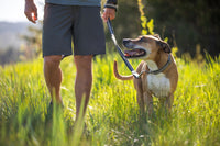 Ruffwear Chain Reaction Martingale Dog Collar
